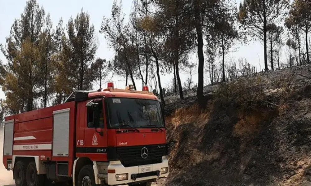 Μεσσηνία: Καλύτερη η εικόνα αοιδός τη φωτιά στην Μεταμόρφωση - Υπάρχει οικισμός κοντά στις φλόγες